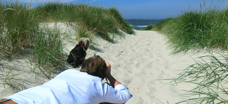 Dog-friendly beaches in Andalucia, Spain