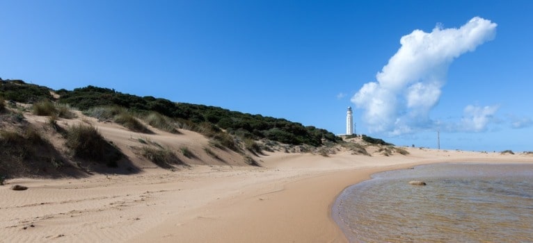 Beach of Faro de Trafalgar in Barbate (Cadiz)